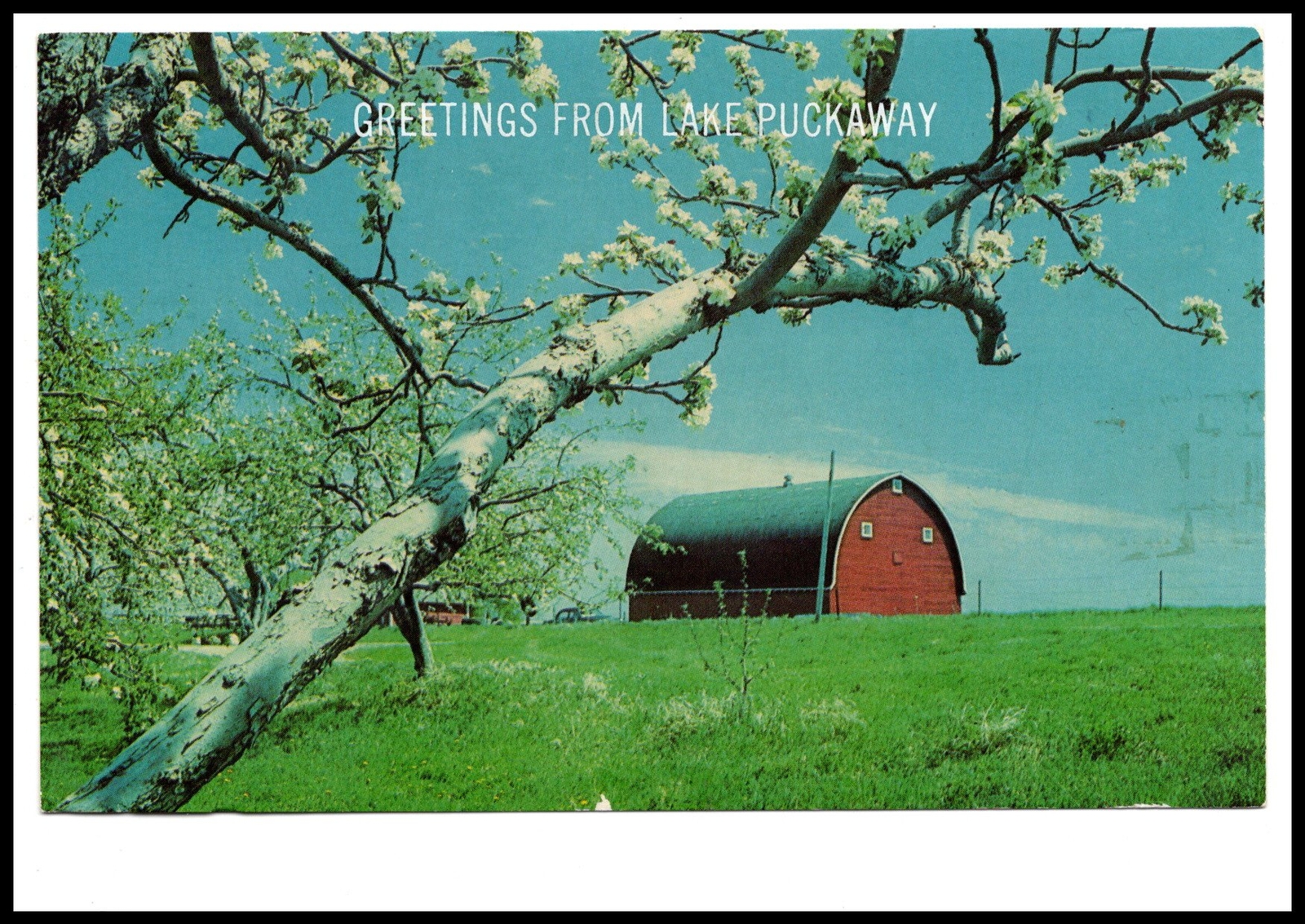 Greetings From Lake Puckaway Marquette WI Postcard eBay