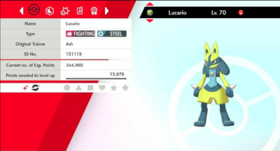Pokemon Schwert & Schild Shiny Lucario 6IV Max EVs