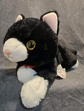 sun lemon knee cat S bee