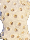 Fossil coral from Maryland Miocene — photo 4