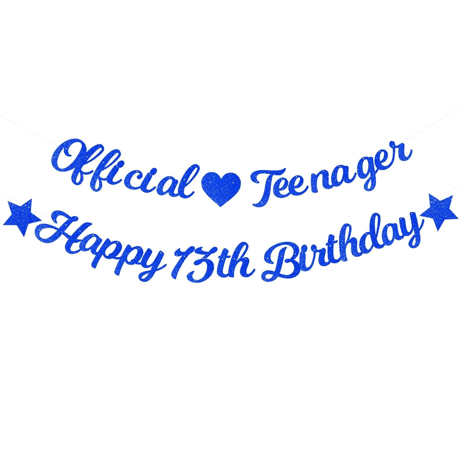 Elicola 13th Birthday Decorations Blue for Boys Official Teenager Banner with H
