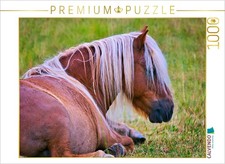 CALVENDO Puzzle Ausruhen muss auch sein 1000 Teile Lege-Gr e 64 48 cm Foto-