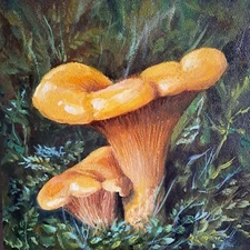 Original Oil Painting Chanterelle Mushrooms Forest Life Nature Floral 6x6