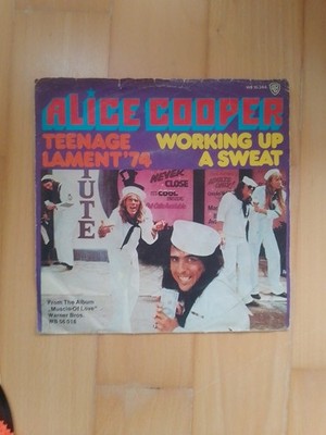 Alice Cooper 7'' Single Vinyl - Teenage Lament ´74 Working Up a Sweat-1973-German