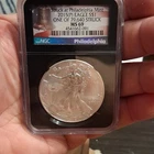 Philadelphia Mint 2015(P) Silver Eagle 1oz .999 NGC MS69 Cert 4541662-091