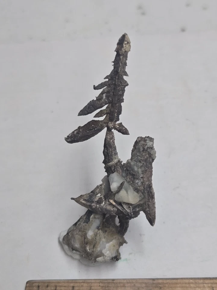 Beautiful Native Silver Batopilas specimen - Image 2 of 3