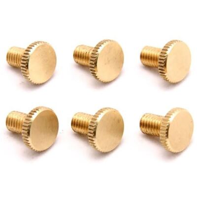 taneBrass Lab MoMo RUFF LEK 6-1/2（SP） Floyd Rose FROFTSBRASSP Original Fine Tuning Screws, Brass, Set of
