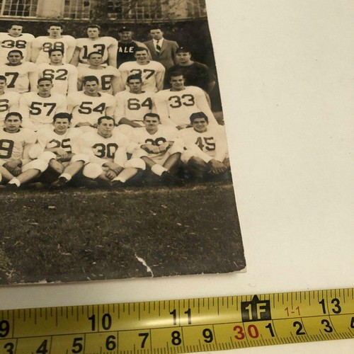 Vintage Original 1949 Yale Bulldogs Freshmen Football Team photo Big "3" Champs - Picture 10 of 12