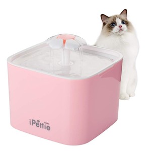 Détails Sur Fontaine à Eau Rose Ipettie Filtrante Pour Chat 2l Avec Pompe Silencieuse Neuf