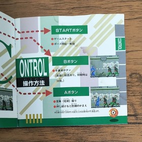 Ninja Warriors Mega CD Taito Japan 2g