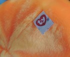 Bild 9 von 12
