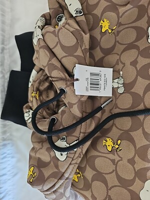 COACH X Peanuts Snoopy Woodstock Hoodie Small CE545 NWT | eBay