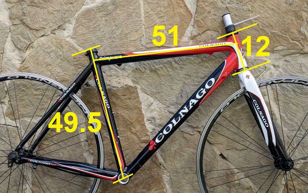 Colnago carbon 2024