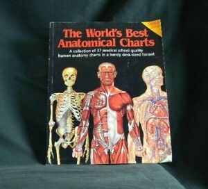 World S Best Anatomical Charts