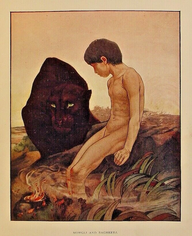 1912 THE FIRST JUNGLE BOOK Antique COLOR EDITION Rudyard KIPLING Disney DETMOLD Foto 3 de 4