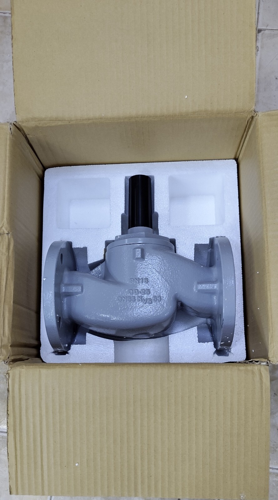 HONEYWELL V5328A1179 2way single seated Control Valve Cast Iron 65A GG25 DN65