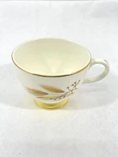 Century Service Corp Autumn Gold Footed Coffee Cup Vintage Pre-Owned Cup