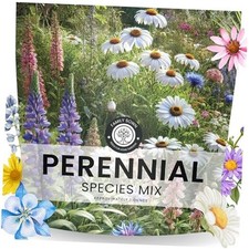 Perennial Species Mix - Large 1 Ounce Packet Large 1 Ounce Pouch (15,000 Seeds) 234.40 per gallon