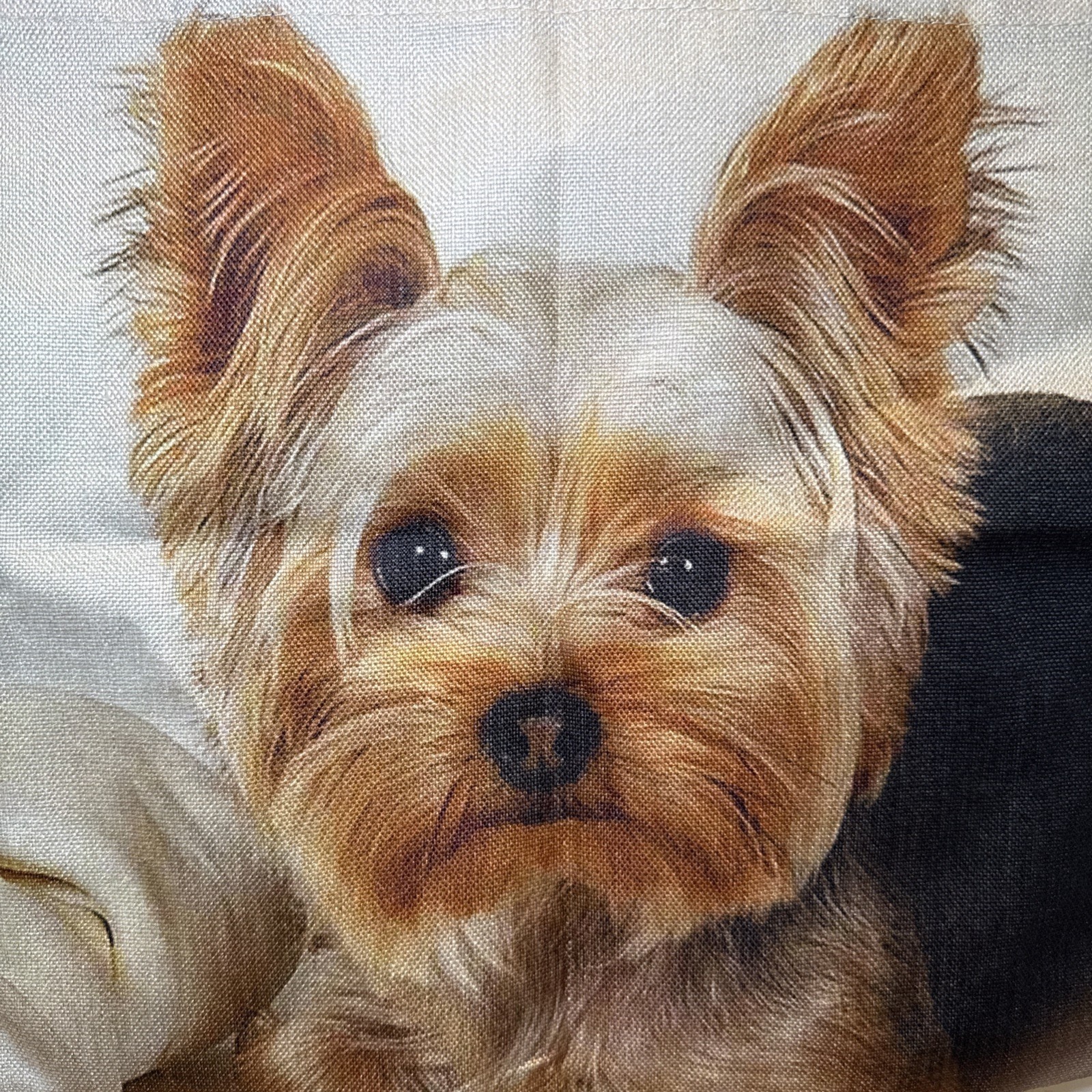 Cute Yorkshire Terrier - Dog Tote Bag - New, Purse