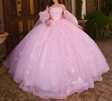 Sparkly Pink Quinceanera Dress Ball Gown Flowers Applique Beading Corset Sweet16