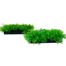 Penn Plax Aquarium Fish Tank Plant Small Green  Bunch Plant  (2 pack)