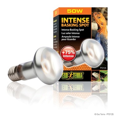 EXO TERRA INTENSE BASKING SPOT - 50 WATT - PT-2135