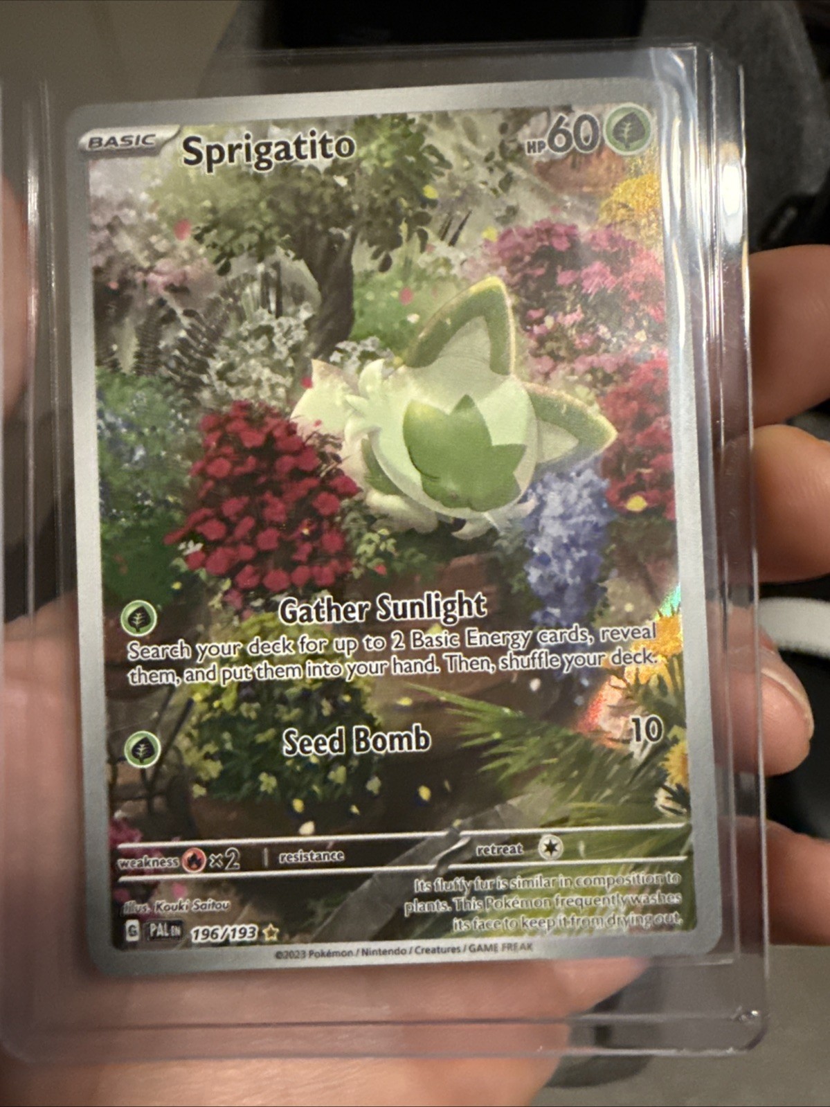 Sprigatito 196/193 Sv02: Paldea Evolved Illustration Rare Pokemon TCG NM