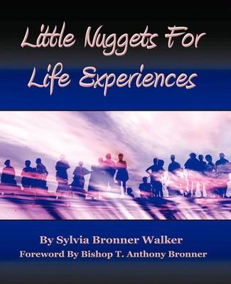 Little Nuggets for Life's Experiences Sylvia Bronner Walker Taschenbuch Englisch