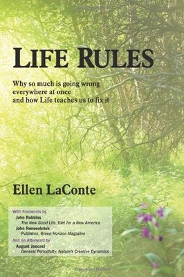 Life Rules: Why So Much is Going Wrong Everywhere at Once and Ho