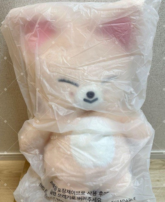 アイドル SKZOO PLUSH TEDDYBEAR - 5clock Stray Kids SKZ 5'CLOCK Official Merchandise - SKZOO Plush