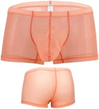 ZONBAILON Mens Sexy Underwear See Through Boxer Briefs Pouch Breath Mesh Trunks