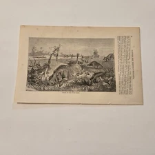 Chase Of The Wild Boar Africa c. 1861 Engraving (368)