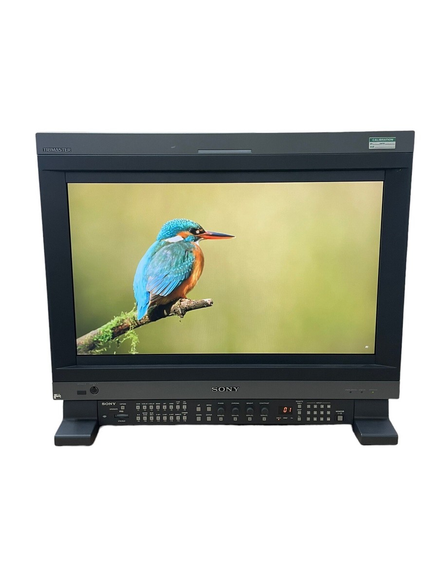 Sony PVM-L2300 23
