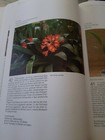 Bild 5 von 5