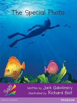 Sails Fluency Purple: The Special Photo by Jack Gabolinscy (English) Paperback B