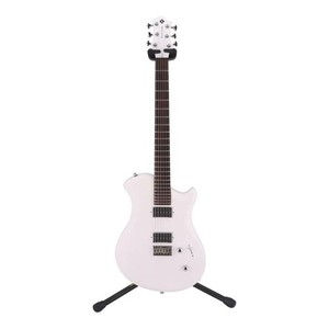 Relish Guitar | eBay