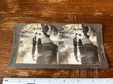1903 St. Louis World  s Fair STEREOVIEW Fair Explorers In Deer Park Glen NICE 