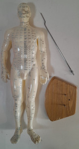 Body Model for Meridianal and Extraordinary Acupoints
