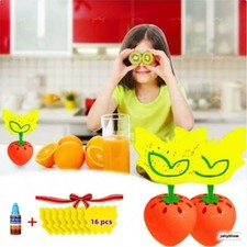 2-Pack Reusable Fruit Fly Traps with 16 Sticky Pads - for Kitchen and Plants