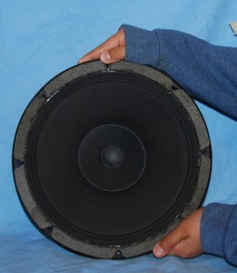 speaker philips 12 inch