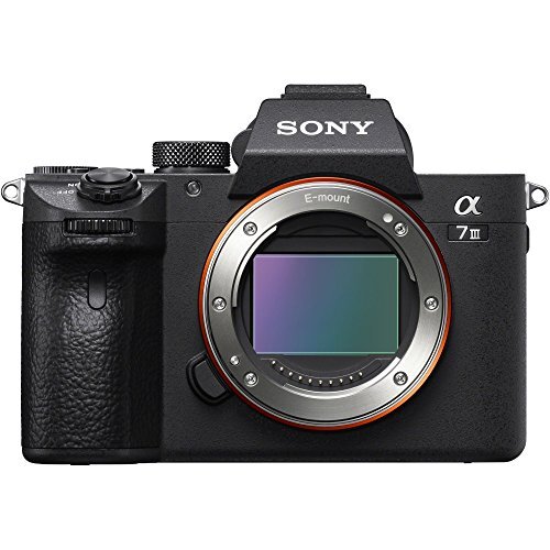 T　SONY α7iii SONY Sony Full-frame mirrorless interchangeable-lens camera