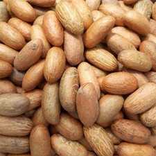 African Bitter Kola Nut - Freshly from Africa - 8 Nuts per Pack - High Quality