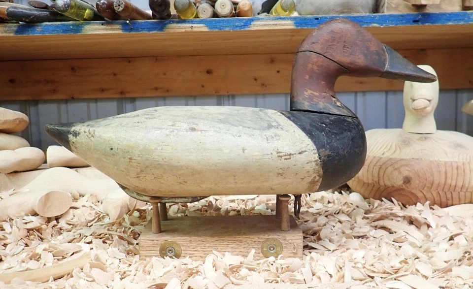 Havre de Grace Maryland Robert "Bob" McGraw (1879-1958) Canvasback Decoy - Image 4 of 4