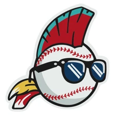 Wild Thing Logo sticker Classic Baseball window laptop bumper vinyl decal