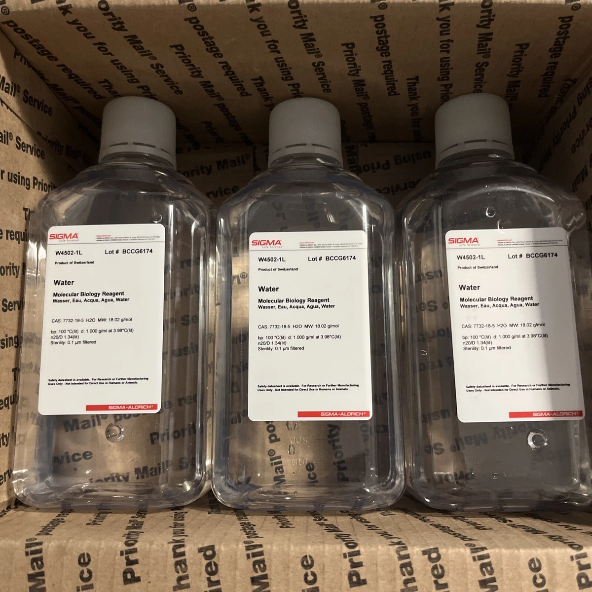 Sigma Vs Omega Round 5