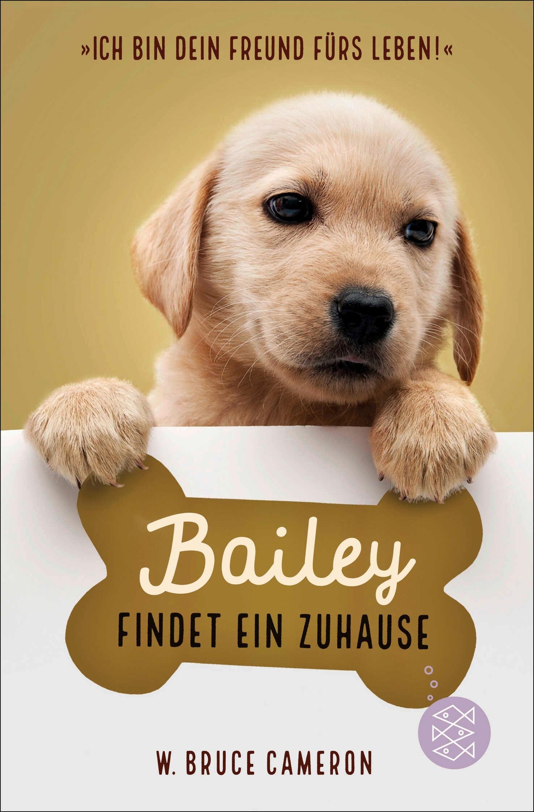Thumbnail - Bailey Findet Ein Zuhause
