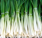 SHALLOT /Bunching onion 150 vegetable seeds garden EASY TO GROW winter veggie