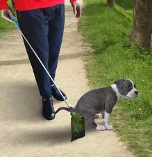 THE BEST DOG POOP CATCHER Retractable Handle 15"to 44.5" BAD BACK PROBLEM SOLVER