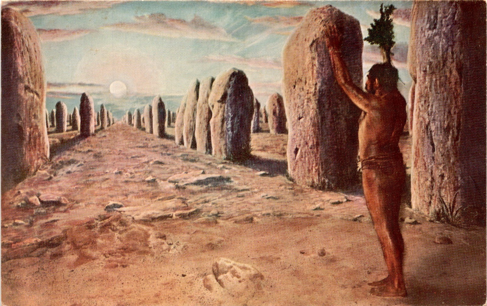 CHICAGO NATURAL HISTORY MUSEUM, Field Museum of Natural History, Postcard