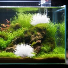  Piante Per Acquario Finte Decorazione Dell'acquario Acquatiche Realistiche